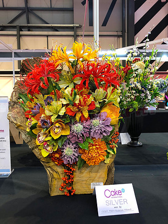 Class C: Floral Display – Firework Theme