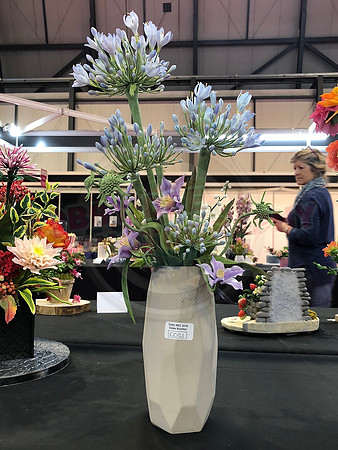 Class C: Floral Display – Firework Theme