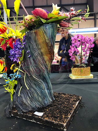 Class C: Floral Display – Firework Theme