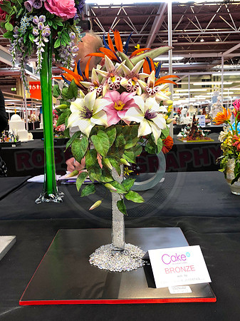 Class C: Floral Display – Firework Theme