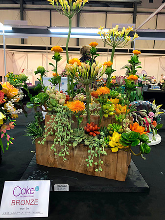 Class C: Floral Display – Firework Theme