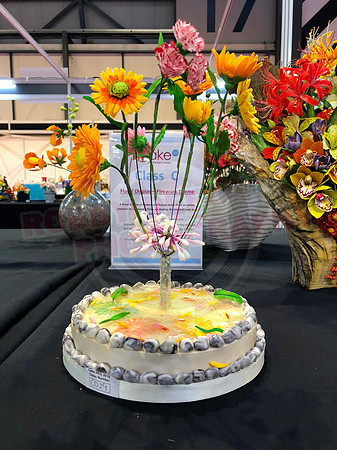 Class C: Floral Display – Firework Theme