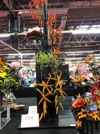 Class C: Floral Display – Firework Theme