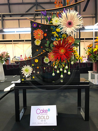 Class C: Floral Display – Firework Theme