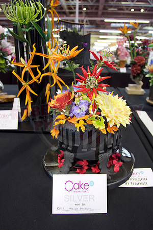 Class C: Floral Display – Firework Theme