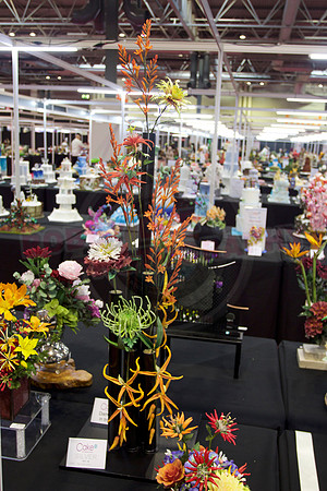Class C: Floral Display – Firework Theme
