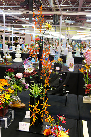 Class C: Floral Display – Firework Theme