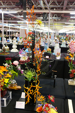 Class C: Floral Display – Firework Theme