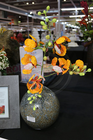 Class C: Floral Display – Firework Theme