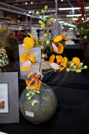 Class C: Floral Display – Firework Theme