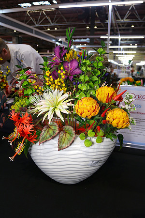 Class C: Floral Display – Firework Theme