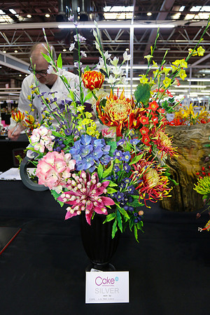 Class C: Floral Display – Firework Theme