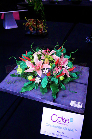 Class C: Floral Display – Firework Theme