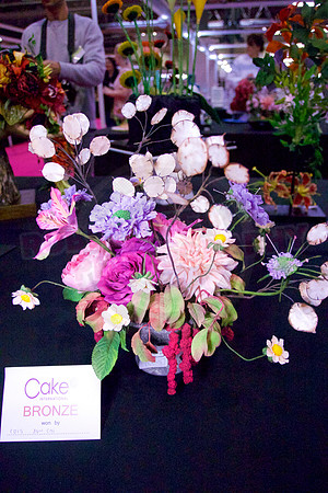 Class C: Floral Display – Firework Theme