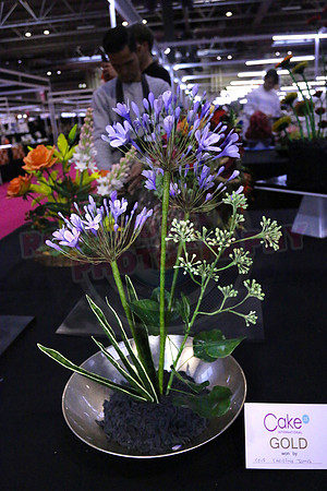 Class C: Floral Display – Firework Theme
