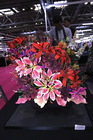 Class C: Floral Display – Firework Theme