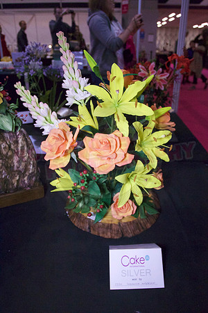 Class C: Floral Display – Firework Theme