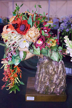 Class C: Floral Display – Firework Theme