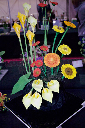 Class C: Floral Display – Firework Theme