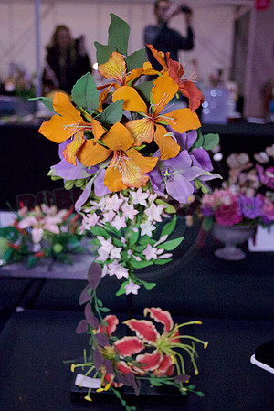 Class C: Floral Display – Firework Theme