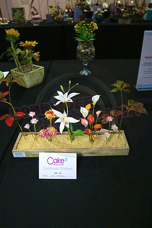 Class C: Floral Display – Firework Theme