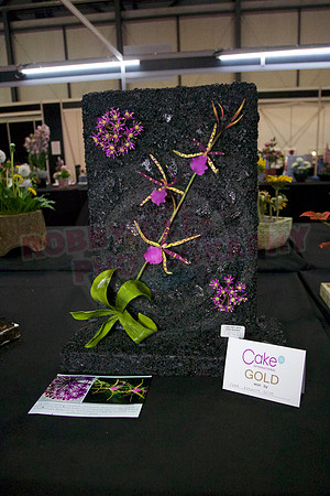 Class C: Floral Display – Firework Theme