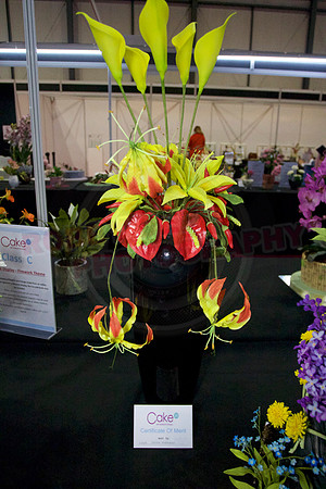 Class C: Floral Display – Firework Theme