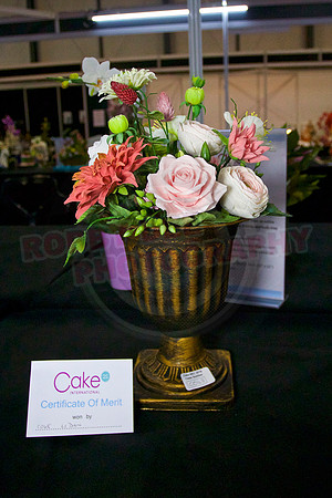 Class C: Floral Display – Firework Theme