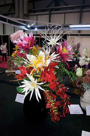 Class C: Floral Display – Firework Theme