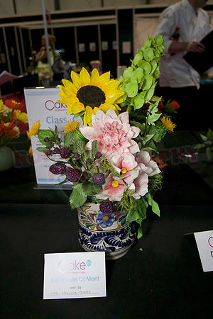 Class C: Floral Display – Firework Theme