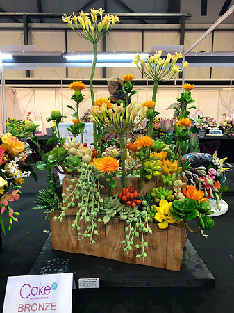 Class C: Floral Display – Firework Theme