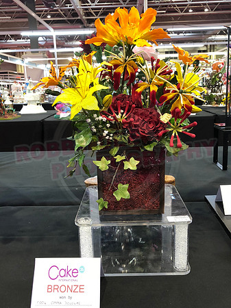 Class C: Floral Display – Firework Theme