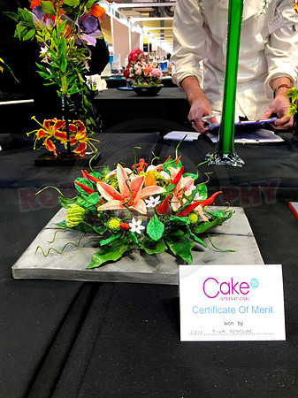 Class C: Floral Display – Firework Theme
