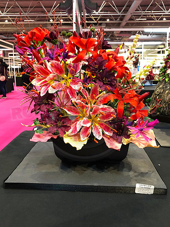 Class C: Floral Display – Firework Theme
