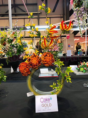 Class C: Floral Display – Firework Theme