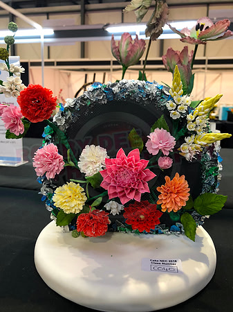 Class C: Floral Display – Firework Theme