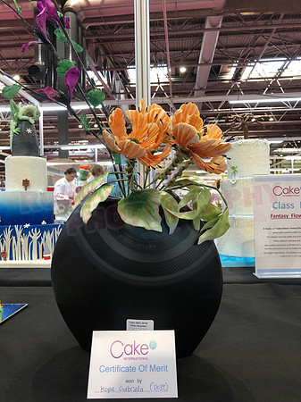 Class D: Fantasy Flowers