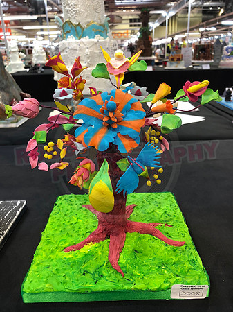 Class D: Fantasy Flowers