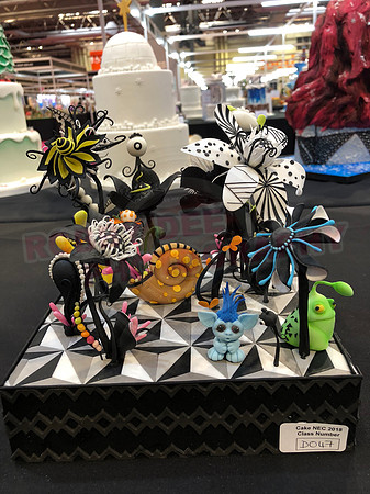 Class D: Fantasy Flowers