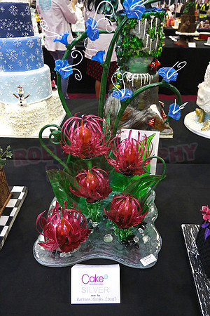 Class D: Fantasy Flowers
