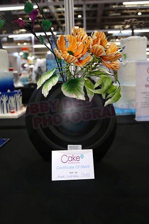 Class D: Fantasy Flowers