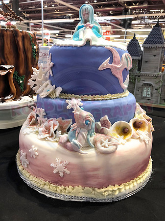 Class E: Fantasy Winter Wonderland
