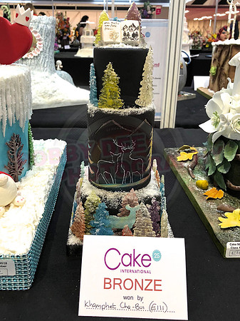 Class E: Fantasy Winter Wonderland