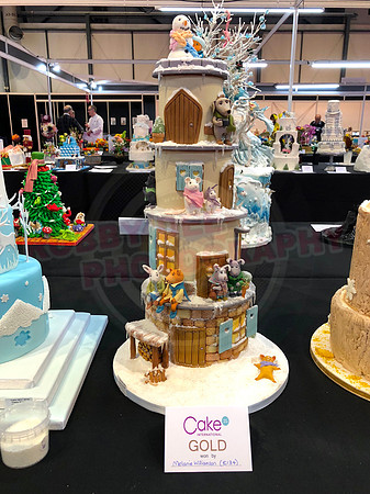 Class E: Fantasy Winter Wonderland