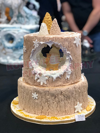 Class E: Fantasy Winter Wonderland