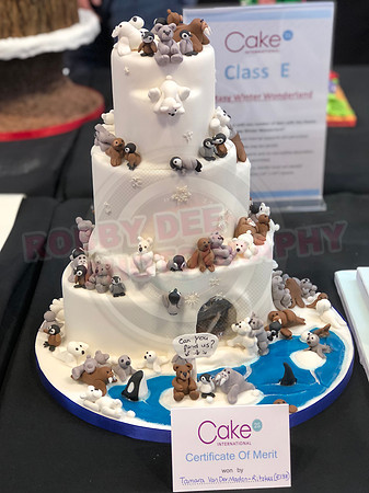 Class E: Fantasy Winter Wonderland