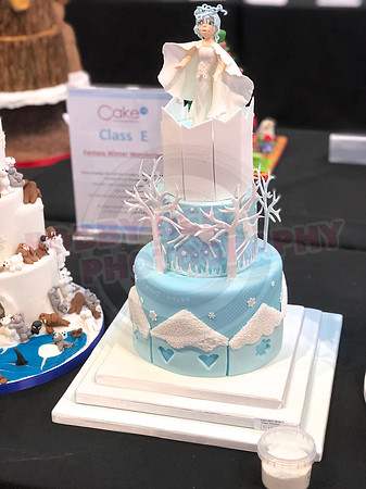 Class E: Fantasy Winter Wonderland