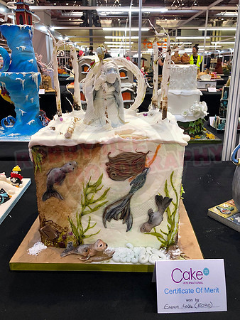 Class E: Fantasy Winter Wonderland