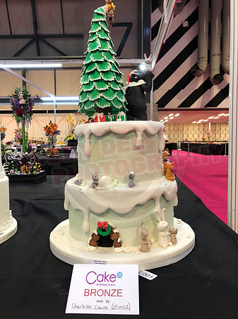 Class E: Fantasy Winter Wonderland