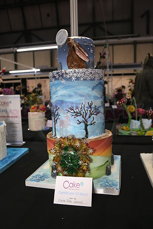 Class E: Fantasy Winter Wonderland
